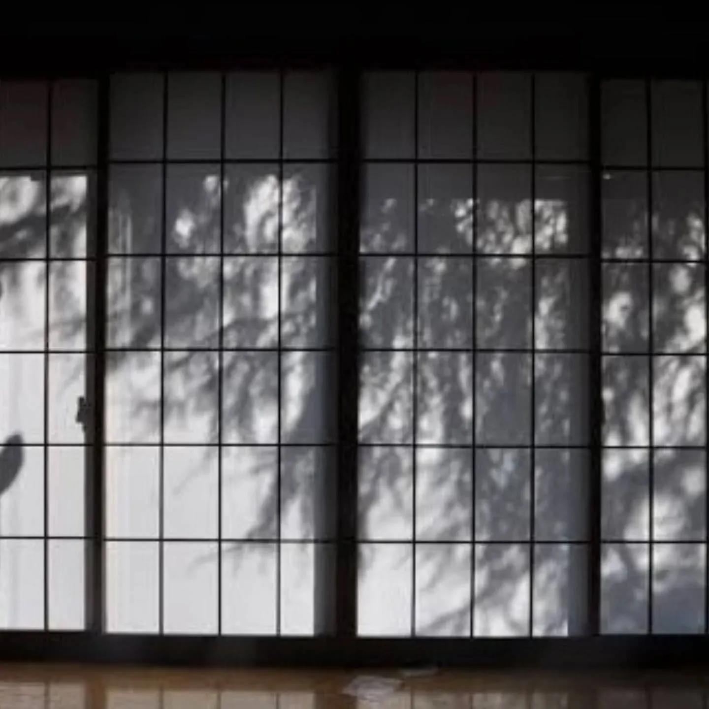 こんにちは✨お客様から、「薄手の上質和紙で月あかりの庭影を楽...